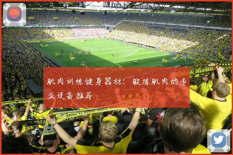 肌肉训练健身器材：锻炼肌肉的专业设备推荐