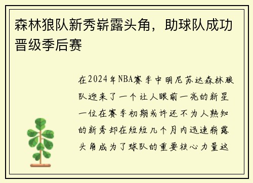 森林狼队新秀崭露头角，助球队成功晋级季后赛