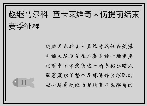 赵继马尔科-查卡莱维奇因伤提前结束赛季征程